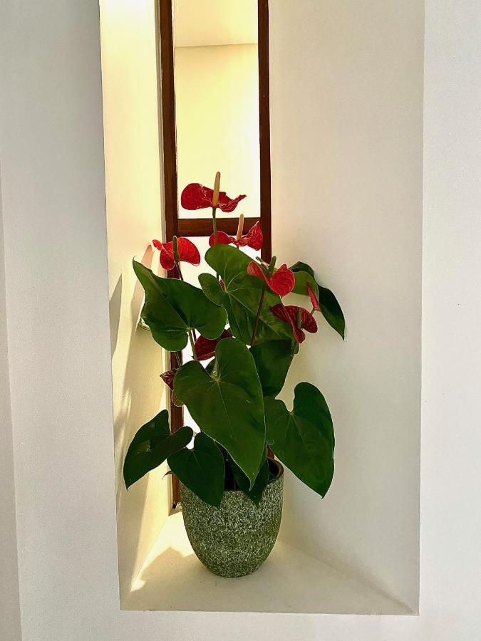 רסנדה Douro B&B Avenida מראה חיצוני תמונה